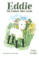 Eddie, das behütete Lamm - Eddie the Looked After Lamb