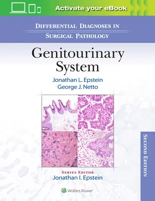 Differentialdiagnosen in der chirurgischen Pathologie: Urogenitalsystem - Differential Diagnoses in Surgical Pathology: Genitourinary System