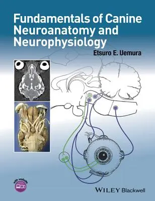 Grundlagen der Neuroanatomie und Neurophysiologie des Hundes - Fundamentals of Canine Neuroanatomy and Neurophysiology