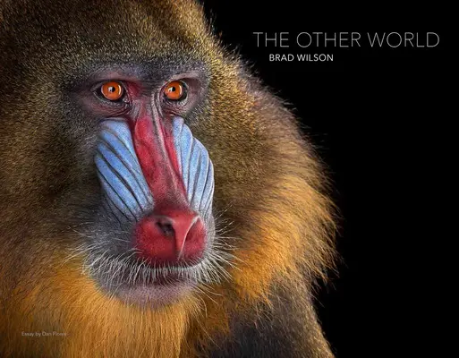 Brad Wilson: Die andere Welt: Tierporträts - Brad Wilson: The Other World: Animal Portraits