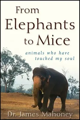 Von Elefanten zu Mäusen: Tiere, die meine Seele berührt haben - From Elephants to Mice: Animals Who Have Touched My Soul