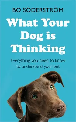 Was Ihr Hund denkt: Alles, was Sie wissen müssen, um Ihr Haustier zu verstehen - What Your Dog Is Thinking: Everything You Need to Know to Understand Your Pet