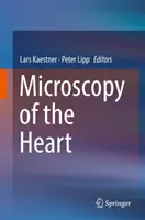 Mikroskopie des Herzens - Microscopy of the Heart