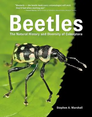 Käfer: Die Naturgeschichte und Vielfalt der Coleoptera - Beetles: The Natural History and Diversity of Coleoptera