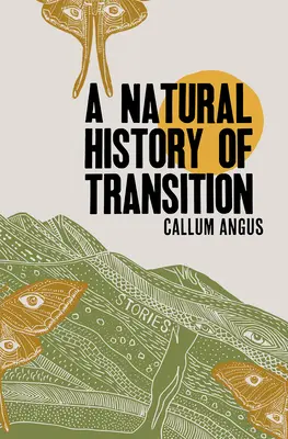 Eine Naturgeschichte des Übergangs - A Natural History of Transition