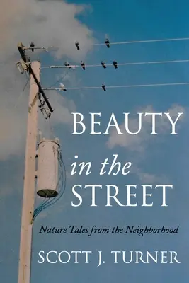 Schönheit auf der Straße: Naturgeschichten aus der Nachbarschaft - Beauty in the Street: Nature Tales from the Neighborhood