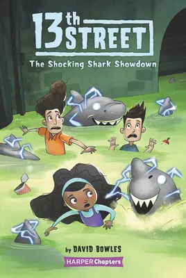 13th Street Nr. 4: Der schockierende Hai-Showdown - 13th Street #4: The Shocking Shark Showdown