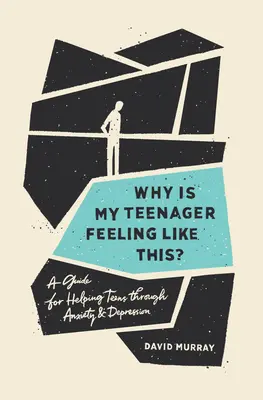 Warum fühlt sich mein Teenager so? Ein Leitfaden zur Unterstützung von Teenagern bei Ängsten und Depressionen - Why Is My Teenager Feeling Like This?: A Guide for Helping Teens Through Anxiety and Depression