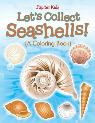 Lass uns Muscheln sammeln! (Ein Malbuch) - Let's Collect Seashells! (A Coloring Book)