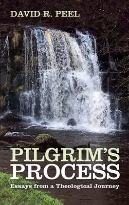 Pilgrims Prozess - Pilgrim's Process