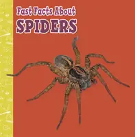 Schnelle Fakten über Spinnen - Fast Facts About Spiders