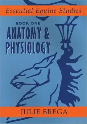 Anatomie & Physiologie - Anatomy & Physiology