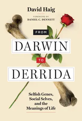 Von Darwin bis Derrida: Egoistische Gene, soziale Selbste und die Bedeutung des Lebens - From Darwin to Derrida: Selfish Genes, Social Selves, and the Meanings of Life