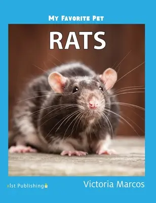 Mein liebstes Haustier: Ratten - My Favorite Pet: Rats