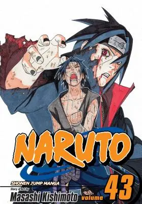 Naruto, Band 43, 43 - Naruto, Vol. 43, 43