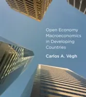 Makroökonomie der offenen Wirtschaft in Entwicklungsländern - Open Economy Macroeconomics in Developing Countries