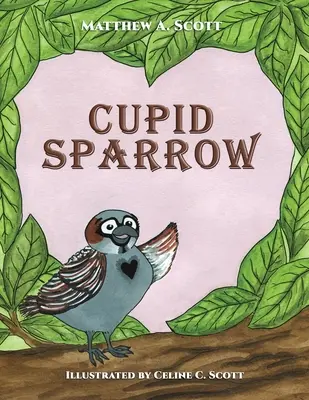 Amorsperling - Cupid Sparrow