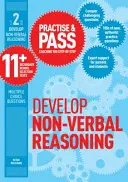 Üben & Bestehen 11+ Stufe Zwei: Nonverbales Denken entwickeln - Practise & Pass 11+ Level Two: Develop Non-verbal Reasoning