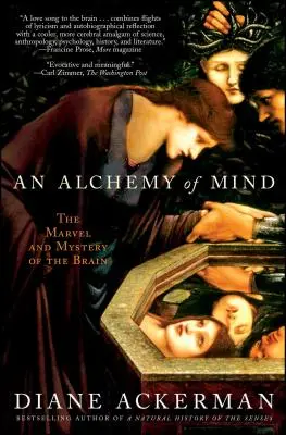 Die Alchemie des Geistes: Das Wunder und das Geheimnis des Gehirns - An Alchemy of Mind: The Marvel and Mystery of the Brain
