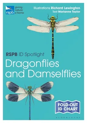 Rspb Id Spotlight - Libellen und Libellen - Rspb Id Spotlight - Dragonflies and Damselflies