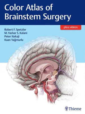 Farbatlas der Hirnstamm-Chirurgie - Color Atlas of Brainstem Surgery
