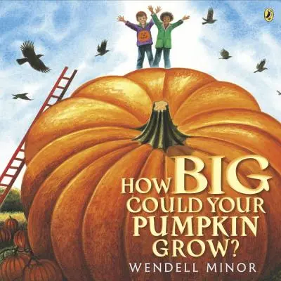 Wie groß kann dein Kürbis werden? - How Big Could Your Pumpkin Grow?
