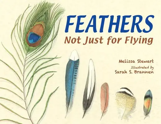 Federn: Nicht nur zum Fliegen - Feathers: Not Just for Flying