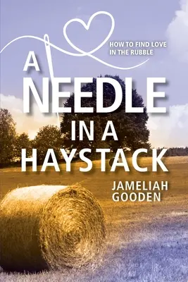 Eine Stecknadel im Heuhaufen: Wie man die Liebe in den Trümmern findet - A Needle in a Haystack: How to Find Love in the Rubble