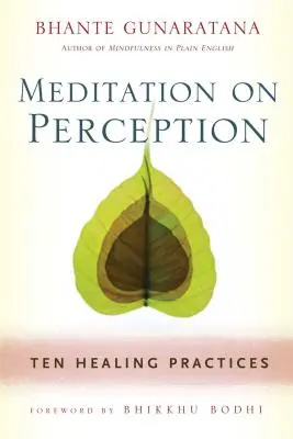 Meditation über Wahrnehmung: Zehn heilende Praktiken zur Kultivierung der Achtsamkeit - Meditation on Perception: Ten Healing Practices to Cultivate Mindfulness