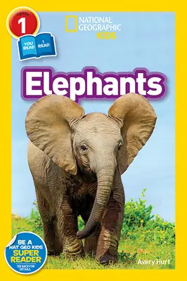 Elefanten - Elephants