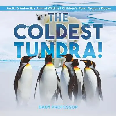 Die kälteste Tundra! Arktis & Antarktis - Tierische Wildnis - Kinderbücher über die Polarregionen - The Coldest Tundra! Arctic & Antarctica Animal Wildlife Children's Polar Regions Books