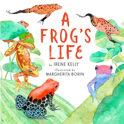 Das Leben eines Frosches - A Frog's Life