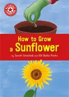 Reading Champion: How to Grow a Sunflower - Unabhängiges Lesen Sachbuch Rot 2 - Reading Champion: How to Grow a Sunflower - Independent Reading Non-fiction Red 2