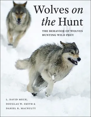 Wölfe auf der Jagd: Das Verhalten von Wölfen bei der Jagd auf wilde Beute - Wolves on the Hunt: The Behavior of Wolves Hunting Wild Prey