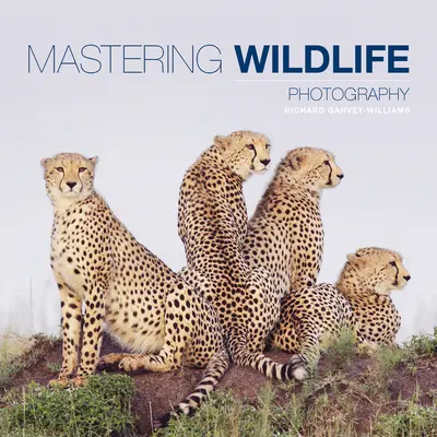 Wildlife-Fotografie meistern - Mastering Wildlife Photography