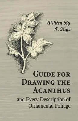 Anleitung zum Zeichnen des Akanthus und jede Beschreibung von Zierblättern - Guide for Drawing the Acanthus, and Every Description of Ornamental Foliage