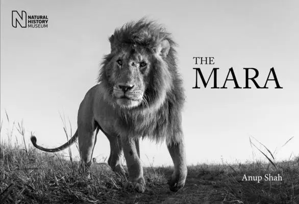 Die Mara - The Mara