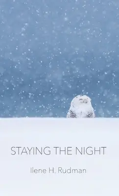 Die Nacht bleiben - Staying The Night