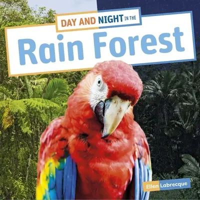 Tag und Nacht im Regenwald - Day and Night in the Rain Forest