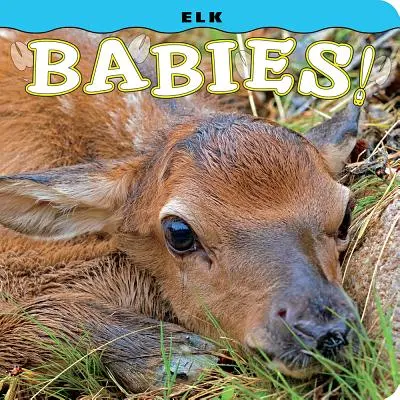 Elchbabys! - Elk Babies!