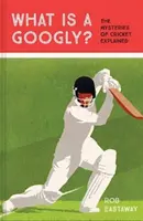 Was ist ein Googly? - Die Geheimnisse des Kricketspiels erklärt - What is a Googly? - The Mysteries of Cricket Explained