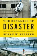 Die Dynamik der Katastrophe - The Dynamics of Disaster