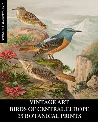 Alte Kunst: Vögel Mitteleuropas: 35 botanische Drucke - Vintage Art: Birds of Central Europe: 35 Botanical Prints