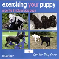 Trainieren Sie Ihren Welpen - Exercising Your Puppy