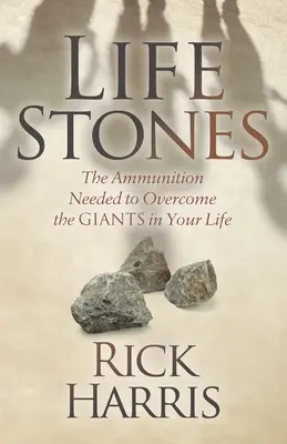 Steine des Lebens: Die Munition, die Sie brauchen, um die Giganten in Ihrem Leben zu überwinden - Life Stones: The Ammunition Needed to Overcome the Giants in Your Life