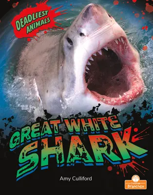 Weißer Hai - Great White Shark