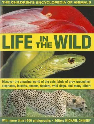 Die Enzyklopädie der Tiere für Kinder: Das Leben in der Wildnis: Entdecke die erstaunliche Welt der Großkatzen, Raubvögel, Krokodile, Elefanten, Insekten, Spinnen - The Children's Encyclopedia of Animals: Life in the Wild: Discover the Amazing World of Big Cats, Birds of Prey, Crocodiles, Elephants, Insects, Spide