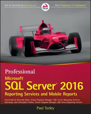 Professionelle Microsoft SQL Server 2016 Reporting Services und mobile Berichte - Professional Microsoft SQL Server 2016 Reporting Services and Mobile Reports