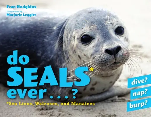 Können Robben überhaupt... ? - Do Seals Ever . . . ?