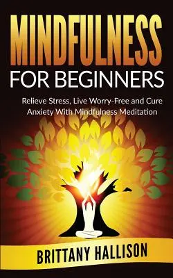 MINDFULNESS für Anfänger: Stress abbauen, sorgenfrei leben und Ängste heilen mit Achtsamkeitsmeditation - MINDFULNESS For Beginners: Relieve Stress, Live Worry-Free and Cure Anxiety with Mindfulness Meditation